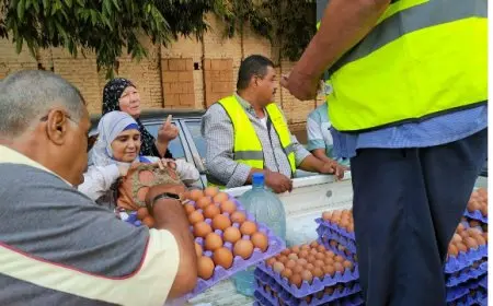 وزارة الزراعة تطلق منافذ متحركة لبيع بيض المائدة بتخفيضات كبيرة