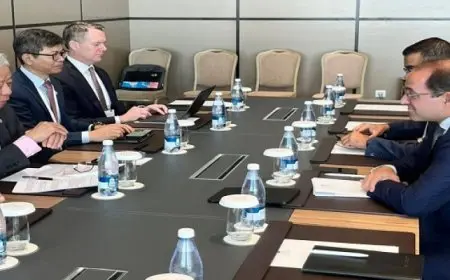 وزير المالية: نتطلع لضخ البنك الآسيوي المزيد من الاستثمارات في مصر