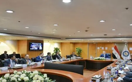 وزير البترول: نعمل على جذب مزيد من الاستثمارات لمنطقة الصعيد في أنشطة البحث والاستكشاف