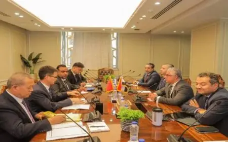 رئيس اقتصادية قناة السويس يلتقي رئيس شركة دايون جوانزو Dayun Guangzhou لبحث توسعات الشركة