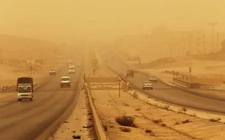 الأرصاد عن طقس 7 أيام مقبلة: تغيب الأمطار مع تكون شبورة ونشاط الرياح