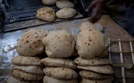هل ترتفع أسعار الخبز بعد زيادة أسطوانات الغاز؟ الشعبة تحسم