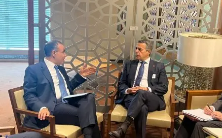 وزير الخارجية يطالب سويسرا بالضغط على إسرائيل لوقف عدوانها على الفلسطينيين