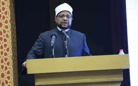 أمين عام البحوث الإسلامية: شيخ الأزهر أكبر داعم للمرأة لقيمتها ودورها الجوهري في بناء الأوطان