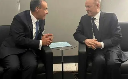 وزير الخارجية يلتقي برئيس المجلس الرئاسي اليمني