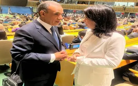 عبد العاطي يبحث مع نظيرته الألمانية جهود خفض التصعيد في المنطقة