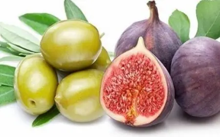 مفاجأة غير سارة.. مشاكل غير مسبوقة تصيب محصولي التين والزيتون