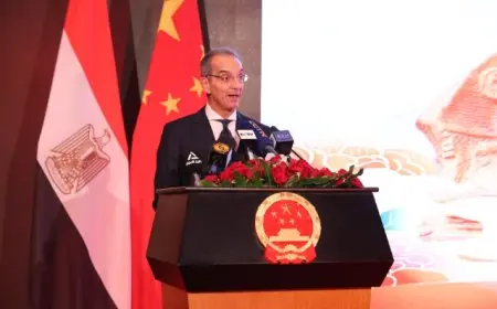 وزير الاتصالات: نتعاون مع الصين لإنشاء مصانع لكابلات الألياف الضوئية والهواتف المحمولة 
