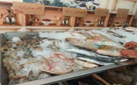 ارتفاع البلطي والجمبري.. أسعار الأسماك اليوم الاربعاء في سوق العبور