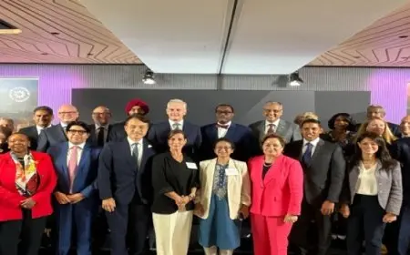 المشاط : انخفاض الحيز المالي لاستثمارات الطاقة في دول الجنوب العالمي يعيق تقدمها نحو تحقيق الأهداف الأممية