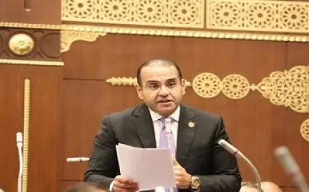 وكيل صناعة الشيوخ يطالب باتخاذ خطوات جادة لجذب الاستثمارات الأجنبية المباشرة