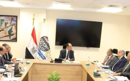 وزير قطاع الأعمال يوجه بتكثيف الجهود للنهوض بالقطاعات الصناعية والإنتاجية في مصر