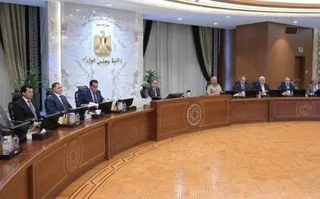 أبرز قرارات الحكومة اليوم: تشكيل المجلس الأعلى للتشاور الاجتماعي ودمج شركات الإنتاج الحربي