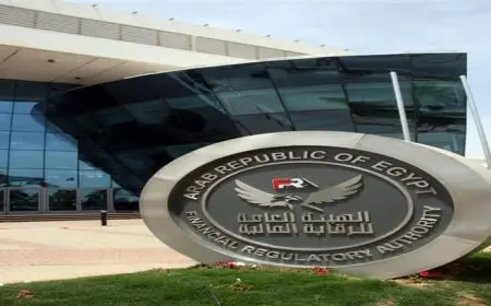 بعد تأسيس أول شركة بمصر.. ماذا نعرف عن شركات رأس مال مخاطر بغرض الاستحواذ؟