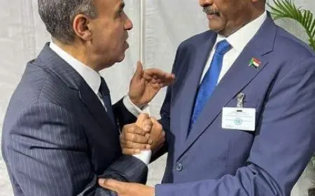 وزير الخارجية: مصر تواصل جهودها الرامية إلى الحفاظ على وحدة وسيادة السودان ودعم مؤسساته