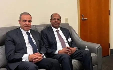 مصر وجيبوتي تؤكدان تعزيز التعاون الثنائي ويناقشان الأوضاع في السودان والصومال