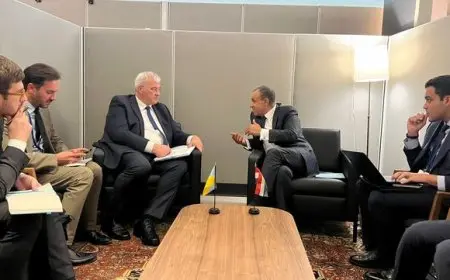 مصر تؤكد دعمها للحلول الدبلوماسية في الأزمة الروسية الأوكرانية