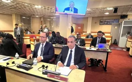 عبد العاطي يؤكد تمسك مصر بوحدة واستقرار الدول الأفريقية خلال الاجتماع الوزاري بنيويورك
