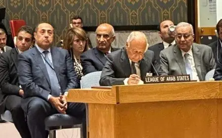 أبو الغيط: إسرائيل اختارت توسيع دائرة النار والدم