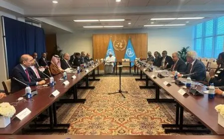 وزير الخارجية: يجب إدانة التصعيد الإسرائيلي الخطير في لبنان