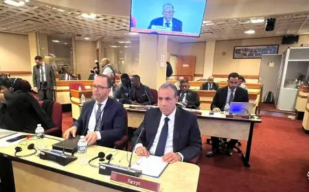 وزير الخارجية يؤكد على تعزيز جهود إعادة الإعمار والتنمية بمرحلة ما بعد النزاعات