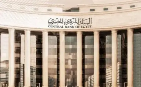 «المركزى»: ارتفاع إجمالى القروض إلى الودائع بأكبر 5 بنوك لـ 63.3% بنهاية يونيو