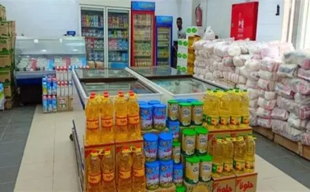 انخفاض المكرونة وارتفاع اللحوم.. أسعار السلع الأساسية اليوم الخميس بالأسواق (موقع رسمي