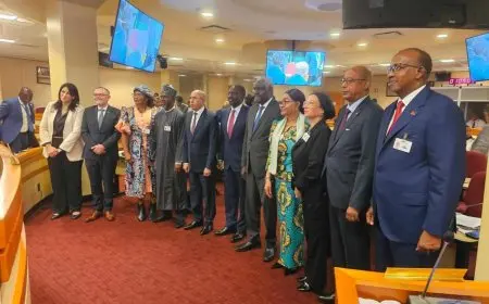 البيئة: مصر تحرص على وحدة الصوت الأفريقي خاصة في مفاوضات الهدف الجديد لتمويل المناخ