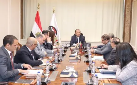 وزير قطاع الأعمال يبحث مع “مايكروسوفت مصر” موقف تطبيق نظام تخطيط الموارد