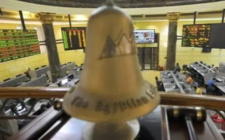 لماذا ترتفع بعض الأسهم بالبورصة دون وجود أسباب جوهرية مبررة؟