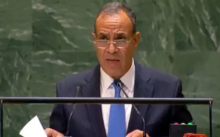 وزير الخارجية: مفتاح التهدئة في المنطقة يكمن في ضرورة وقف الحرب الإسرائيلية على غزة