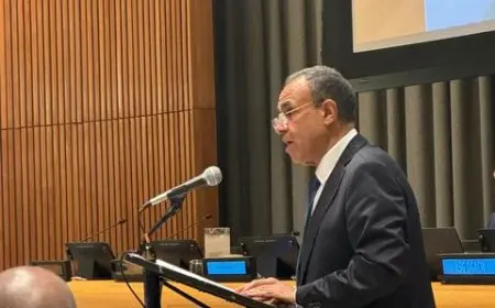 عبد العاطي يؤكد: القضاء على الأسلحة النووية واجب إنساني لتحقيق السلام العالمي