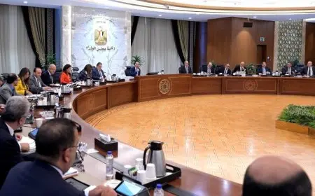 مجلس الوزراء يرحب بالدور المحوري لجهاز تنمية المشروعات المتوسطة والصغيرة ومتناهية الصغر