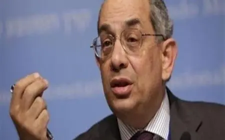 بعد تعيين يوسف بطرس غالي بعضويته.. ما هو المجلس التخصصي للتنمية الاقتصادية؟