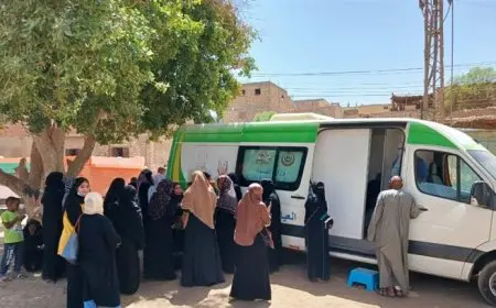 محافظ أسوان يكشف تطورات الأوضاع بعد إصابات النزلات المعوية