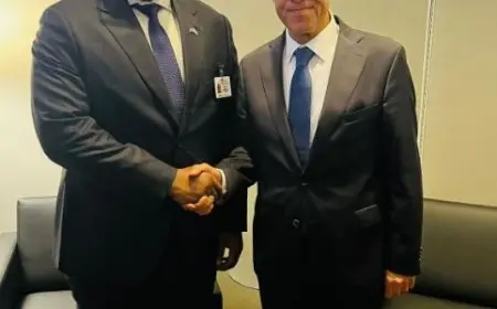 وزير الخارجية يشيد بدور سيراليون في دعم وإبراز الملكية الإفريقية لقضايا السلم والأمن بالقارة