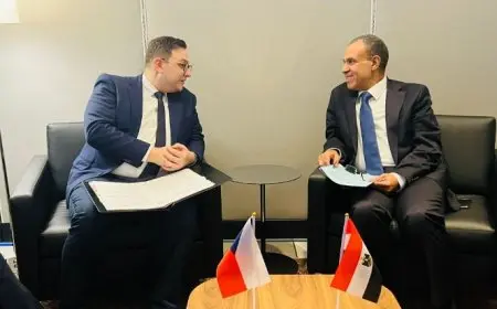 وزير الخارجية: نتطلع إلى تدفق المزيد من الاستثمارات التشيكية إلى مصر