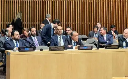 وزير الخارجية: الأزمة الحالية نتاج أعوام من الممارسات الإسرائيلية وسلب الأرض من أصحابها