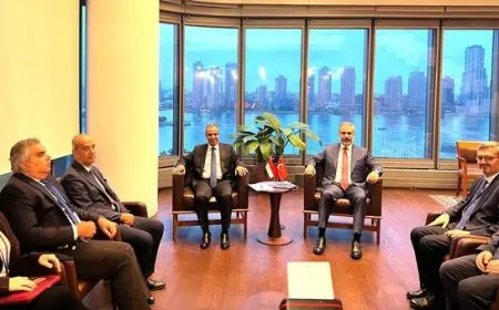 مصر وتركيا تؤكدان ضرورة وقف شامل ودائم لإطلاق النار في غزة ولبنان