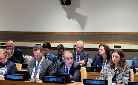 وزير الخارجية: إسرائيل تعمل على جعل غزة منطقة غير قابلة للحياة