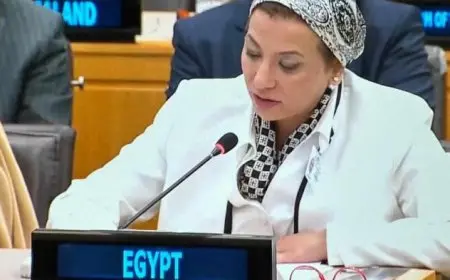 وزيرة البيئة: يجب على الدول الكبرى تحمل مسؤولياتها في تمويل جهود المناخ