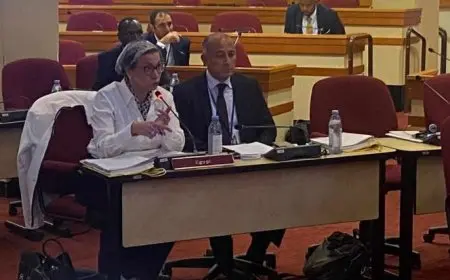 وزيرة البيئة: مصر تحرص على توحيد جهود القارة في مجال الطاقة الجديدة والمتجددة