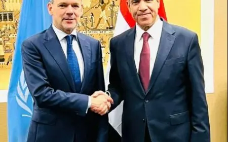 عبد العاطي يلتقي نظيره الهولندى في نيويورك