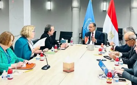 عبد العاطي يستقبل وكيل وزارة الخارجية الأمريكية للشئون السياسية جون باس في نيويورك