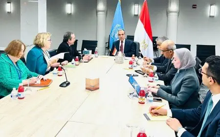 وزير الخارجية: موقف مصر ثابت من احترام سيادة الصومال والحفاظ على سلامة أراضيه