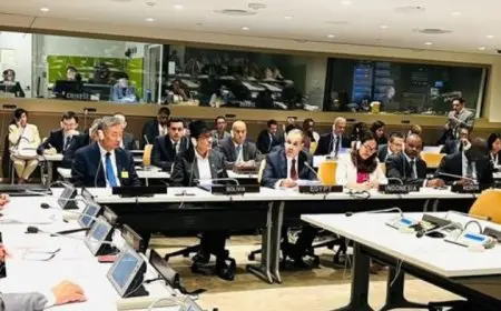 عبدالعاطي يشارك في الاجتماع الوزاري حول المبادرة الصينية البرازيلية لتسوية الأزمة الأوكرانية