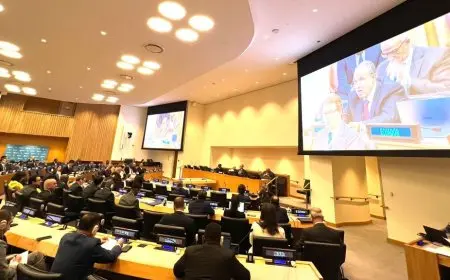 وزير الخارجية: حرب غزة أكبر مثال على قصور النظام الدولي في الاضطلاع بمسئولياته