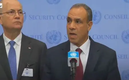 وزير الخارجية: من غير المقبول إفلات دولة ترى نفسها فوق القانون من العقاب