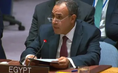 وزير الخارجية: إسرائيل المسئول الأول والمُباشر عما آلت إليه الأوضاع في غزة والمنطقة