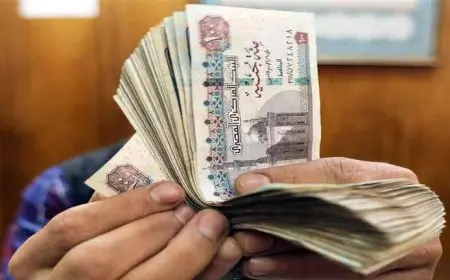 تعرف على أسعار الشهادات مرتفعة العائد في 10 بنوك غدا الأحد